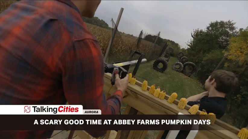 Amazed and Dazed with so Many Things to Do at Abbey Farms Pumpkin Days, No Matter How Old You Are